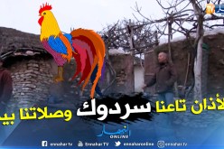 مشاتي في سكيكدة يعيش سكانها حياة العصور الغابرة