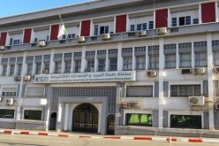 سلطة ضبط البريد والإتصالات الإلكترونية.. أرقام مجانية لتفادي تنقل المواطنين