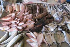 مشروع قانون المالية 2021: رسم بـ 10 دج على كل كيلوغرام من الأسماك المستوردة