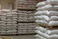 مجمع “أغروديف”.. توفير 90 ألف قنطار من السميد والفرينة يوميا لتلبية الطلب الإستثنائي