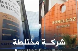 إنشاء شركة مختلطة بين مجمعي سوناطراك وسونلغاز