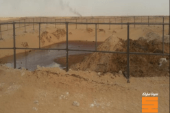 سوناطراك تعالج 390 حوضا بتروليا بولاية إليزي