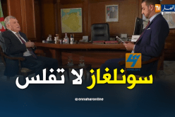  قيطوني : سونلغاز بخير ولايمكنها أن تفلس