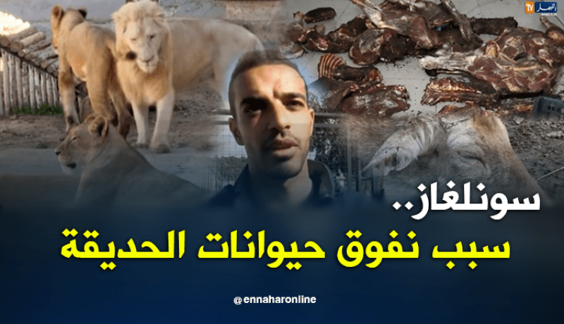 مصير مجهول لحديقة الحيوانات بالطارف.. ونفوق عدّة أنواع من الحيوانات !
