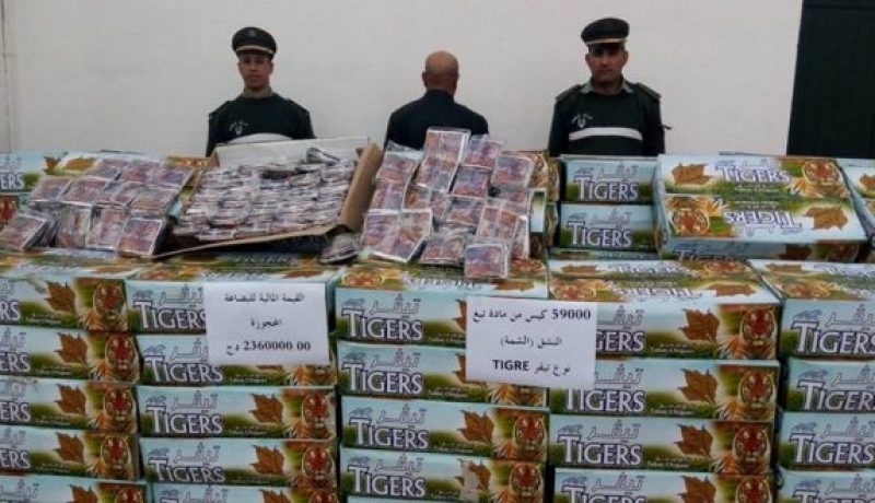 درك سيدي بلعباس يحجز 60 ألف كيس شمة مقلدة