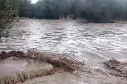 سيول تغمر الطرقات والمنازل وفيضان أودية في تيسمسيلت والجلفة