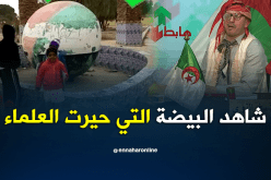 شاهد البيضة التي حيرت الجميع في النعامة