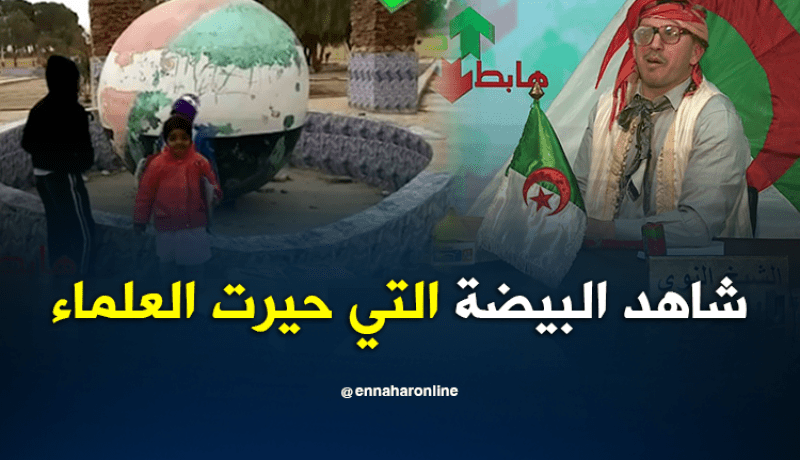 شاهد البيضة التي حيرت الجميع في النعامة
