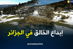 شاهد جمال وسحر بلادي من تسيمسيلت