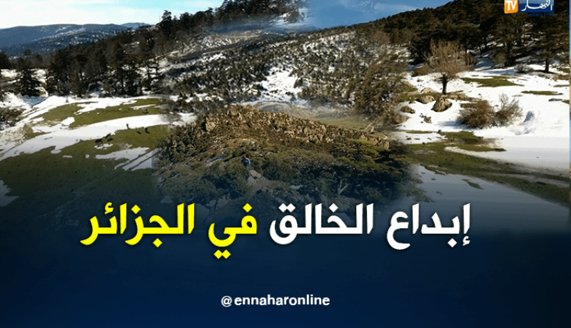 شاهد جمال وسحر بلادي من تسيمسيلت