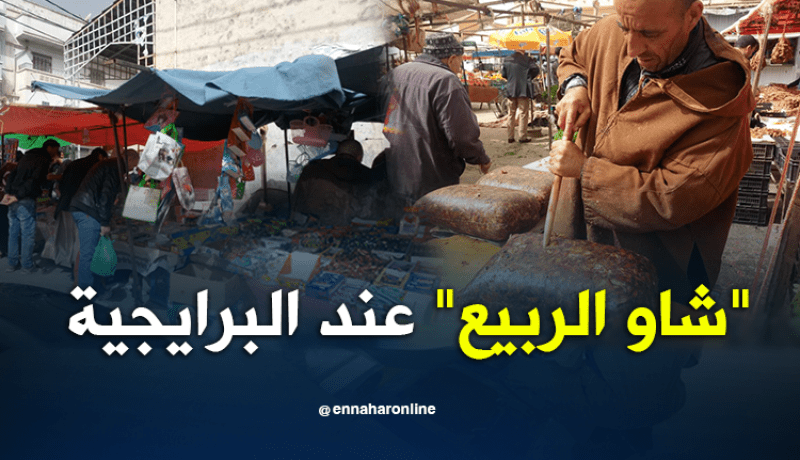بالصور.. هكذا تستقبل العائلات البرايجية “شاو الربيع”