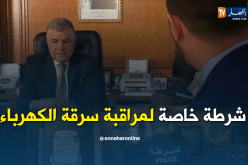 قيطوني: الدعم في الكهرباء موجود ولابد من محاربة السرقة