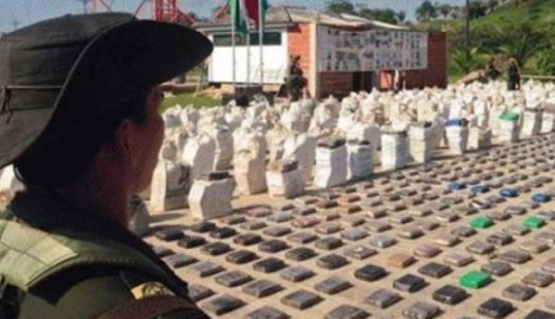 كولومبيا .. ضبط 7 أطنان كوكايين في مزرعة موز