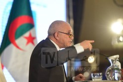 شرفي : لا يمكن التخلي عن الأحزاب السياسية