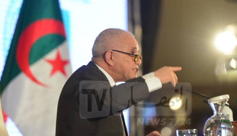 شرفي : لا يمكن التخلي عن الأحزاب السياسية