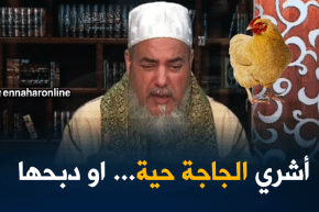 انصحوني/”أشروا..الجاج حي..وذبحوه..!!”