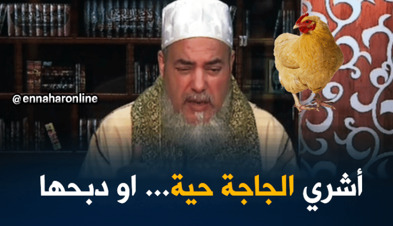 انصحوني/”أشروا..الجاج حي..وذبحوه..!!”