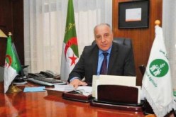 قريبا.. إطلاق تأمين ضد حرائق أشجار الزيتون