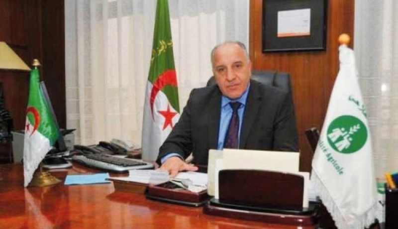 قريبا.. إطلاق تأمين ضد حرائق أشجار الزيتون
