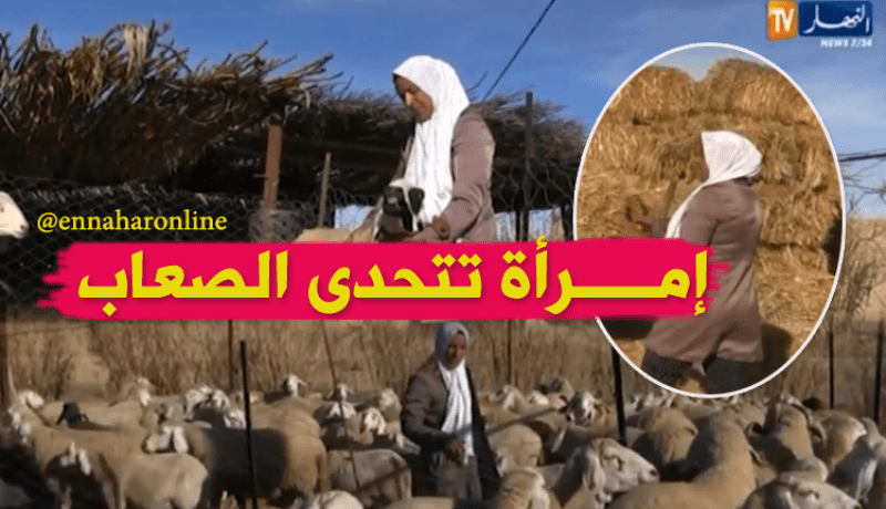 “شريفة”…إمرأة تحدّت الصعاب و جسّدت طموحها الفلاحي