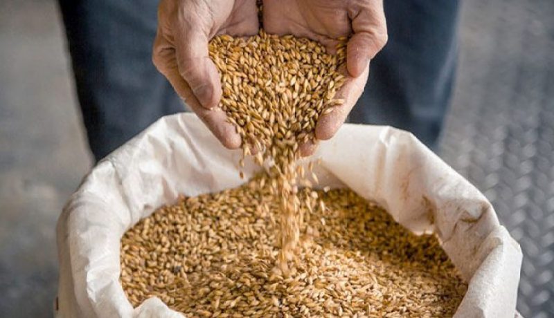 وزير الفلاحة يطمئن الموالين: سيتم تموينكم بالشعير خلال الأيام القادمة