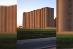 تيارت.. التحقيق في فاتورة مزورة لإستخراج الشعير من تعاونية الحبوب بمهدية