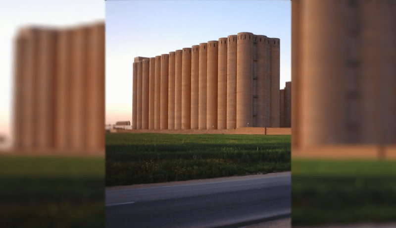 تيارت.. التحقيق في فاتورة مزورة لإستخراج الشعير من تعاونية الحبوب بمهدية