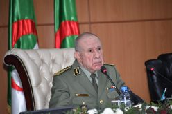 الفريق السعيد شنقريحة في زيارة عمل  للناحية العسكرية السادسة بتمنراست