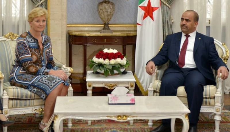 شنين يستقبل وفداً برلمانياً من الدنمارك