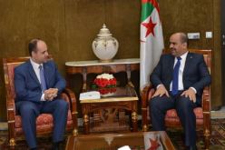 شنين يستقبل سفير أوكرانيا لدى الجزائر