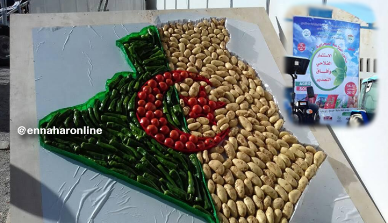 افتتاح صالون الفلاحة الصحراوية بالوادي