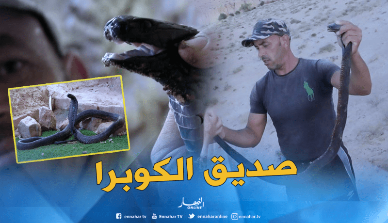 بالصور.. الشاب “عزيز” قاهر أفاعي “الكوبرا” القاتلة في رقصات الموت