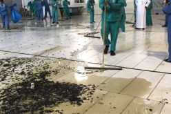 الأمانة العامة المقدسة: “22 فرقة مختصة لمكافحة صرصار الليل بساحات الحرم”