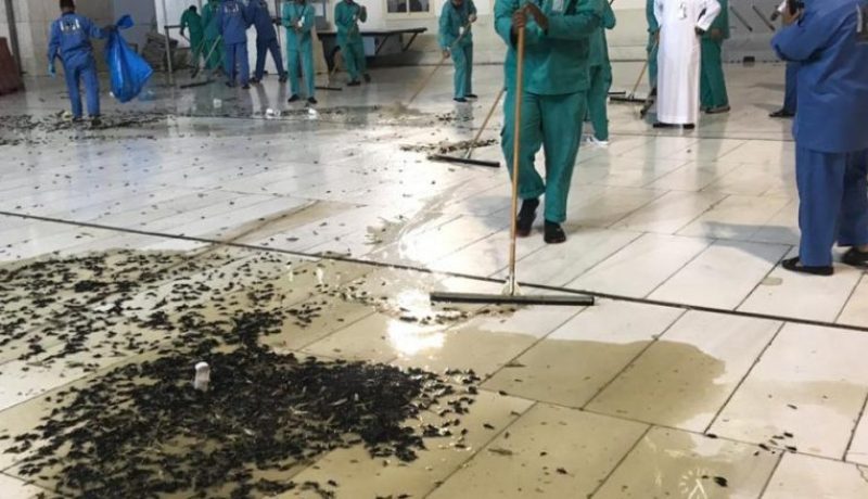 الأمانة العامة المقدسة: “22 فرقة مختصة لمكافحة صرصار الليل بساحات الحرم”