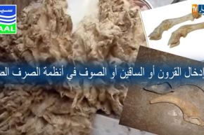 بالفيديو- سيال تقدّم 5 خطوات لتحصين شبكات الصرف الصحي في يوم عيد الأضحى