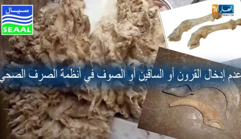 بالفيديو- سيال تقدّم 5 خطوات لتحصين شبكات الصرف الصحي في يوم عيد الأضحى