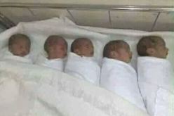 أم فلسطينية تنجب 5 توائم