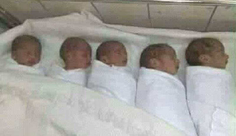 أم فلسطينية تنجب 5 توائم