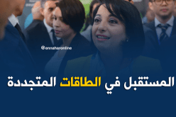 زرواطي تدعوا للإنفتاح على الاستثمار في مجال الطاقات المتجددة