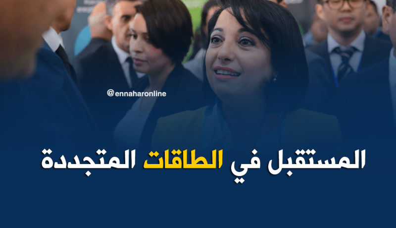 زرواطي تدعوا للإنفتاح على الاستثمار في مجال الطاقات المتجددة