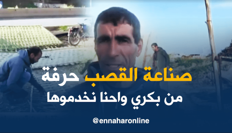 صناعة القصب.. حرفة متوارثة تصارع من أجل البقاء