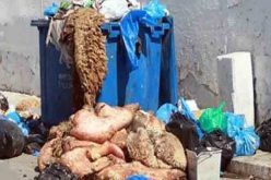 عيد الأضحى: نظام مداومة صارم لتفادي المشاكل المرتبطة بشبكات الصرف الصحي