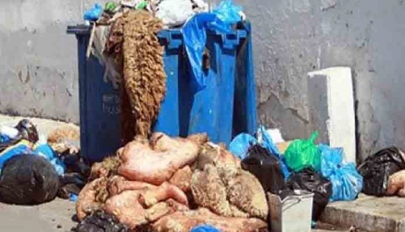 عيد الأضحى: نظام مداومة صارم لتفادي المشاكل المرتبطة بشبكات الصرف الصحي