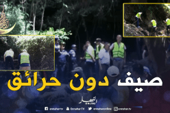 شباب ينظمون حملة تنظيف واسعة لصيف دون حرائق بتيزي وزو