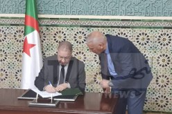 صيودة: الكثير من تجار العاصمة لا يدفعون الضرائب