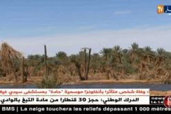 أدرار : المياه المالحة خطر يهدد واحات النخيل بالإندثار