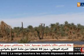 أدرار : المياه المالحة خطر يهدد واحات النخيل بالإندثار