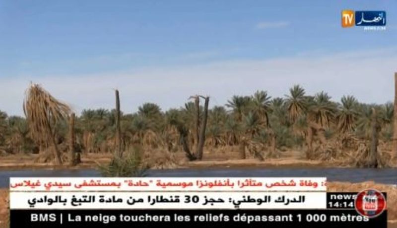 أدرار : المياه المالحة خطر يهدد واحات النخيل بالإندثار