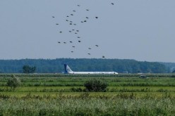 فيديو ما قبل المعجزة.. لحظة سقوط طائرة روسية بعد اقتحام الطيور لمحركها!