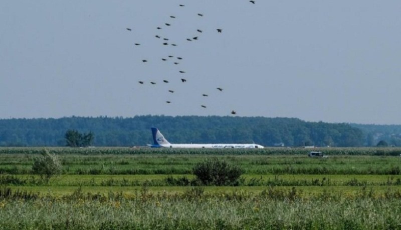 فيديو ما قبل المعجزة.. لحظة سقوط طائرة روسية بعد اقتحام الطيور لمحركها!